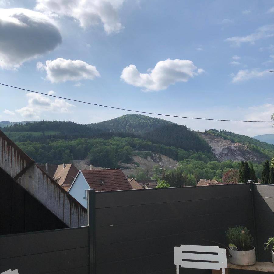 Appartement Vintage A L Ancienne Forge Muhlbach-sur-Munster Eksteriør bilde