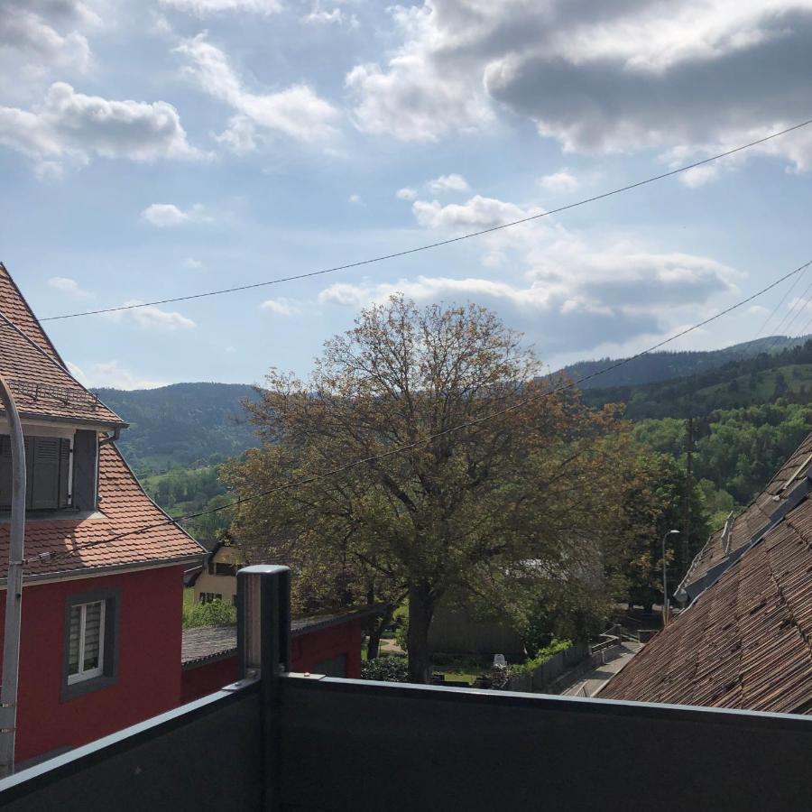 Appartement Vintage A L Ancienne Forge Muhlbach-sur-Munster Eksteriør bilde